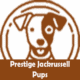 Prestige Jackrussell Pups
